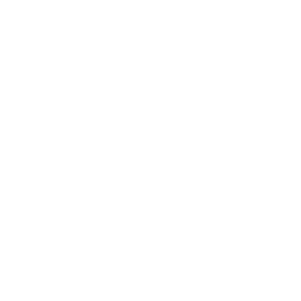 Hotel Ibis Irapuato