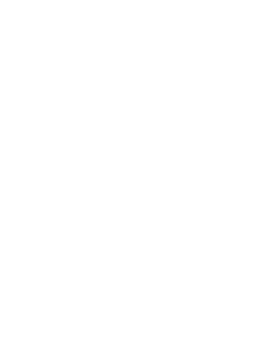 Hotel ibis Irapuato